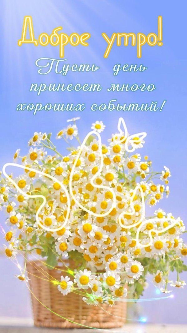 букет ромашек