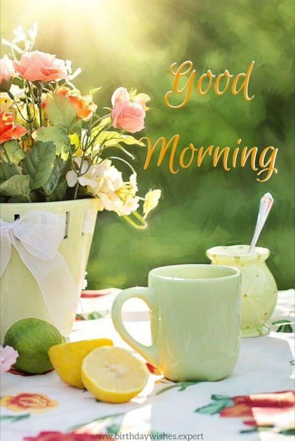 летнего утра