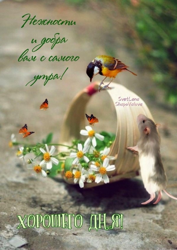 доброго мирного утра