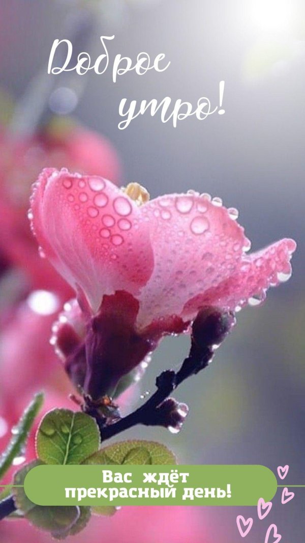 прелести весны