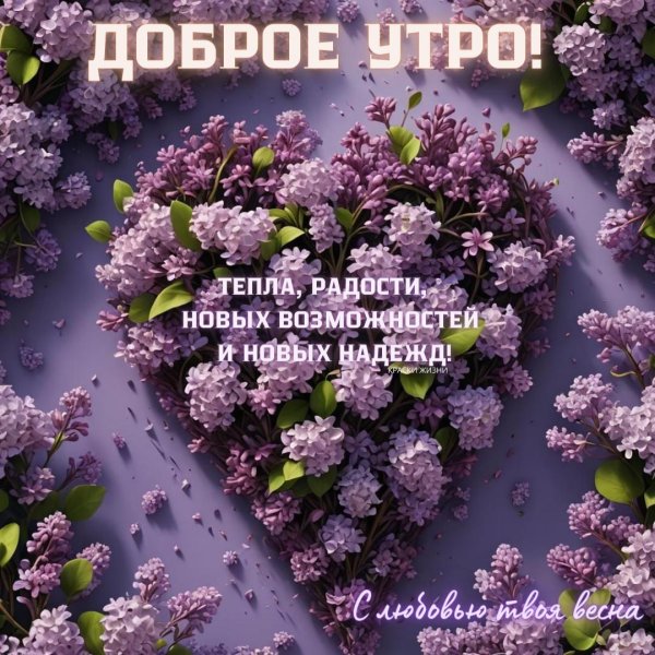 доброе утро сирень