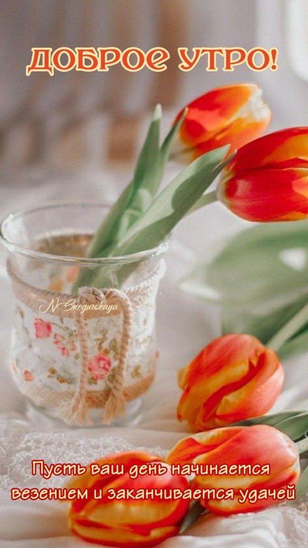 пусть утро