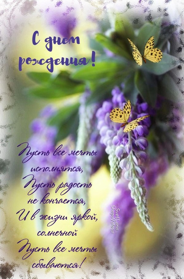 сиреневые цветы