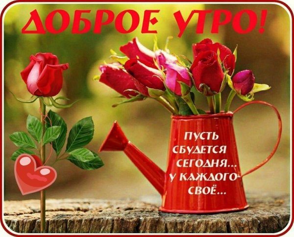 доброе утро наташенька