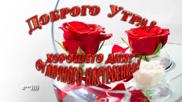 открытка доброе утро хорошего дня отличного настроения