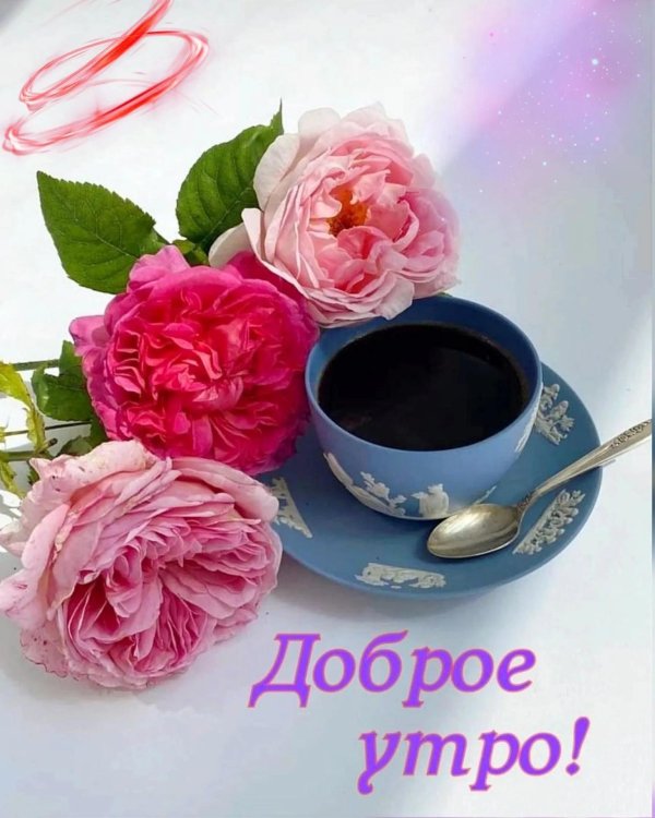красивое с добрым утром