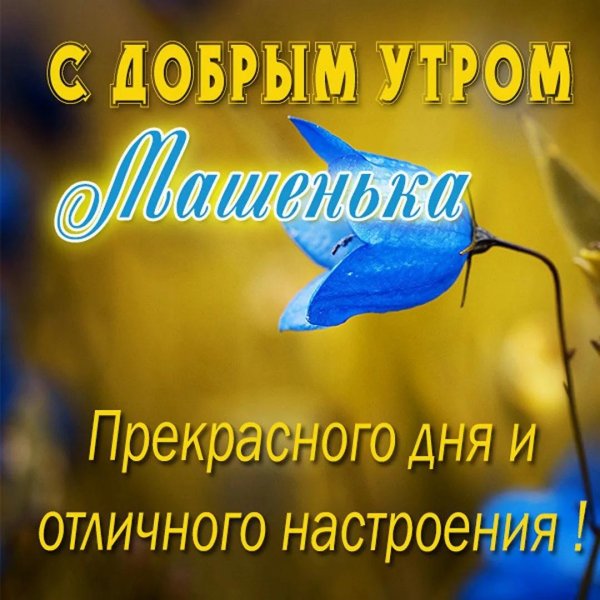 прекрасного утра