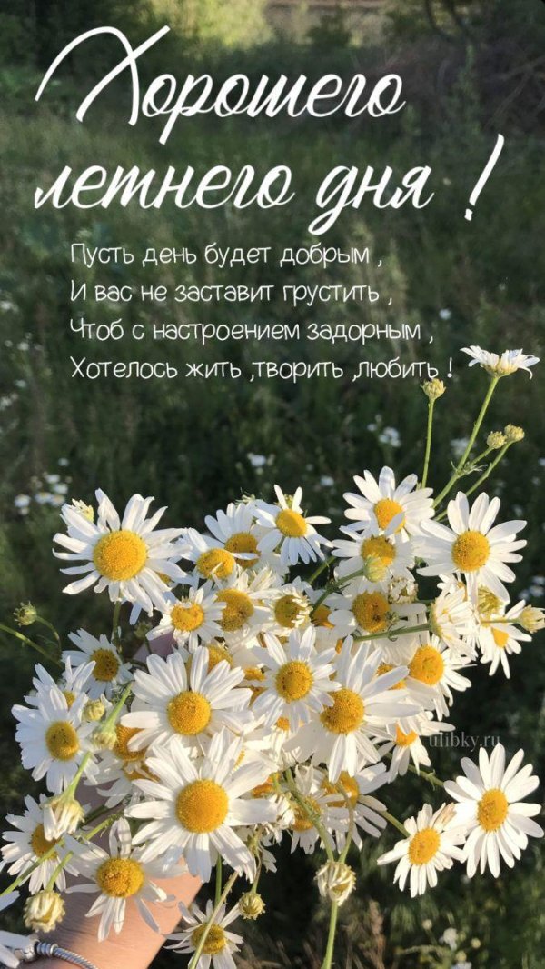 хорошего дня летнего