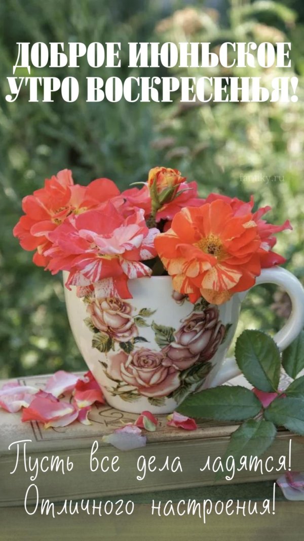 добра утра