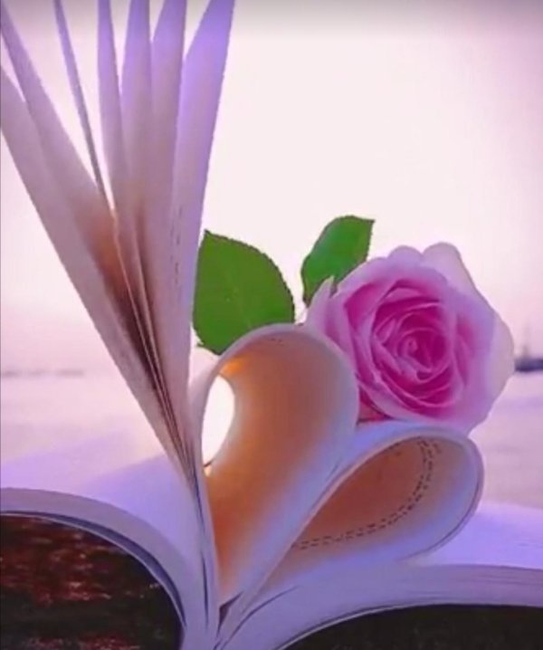 любимые книги