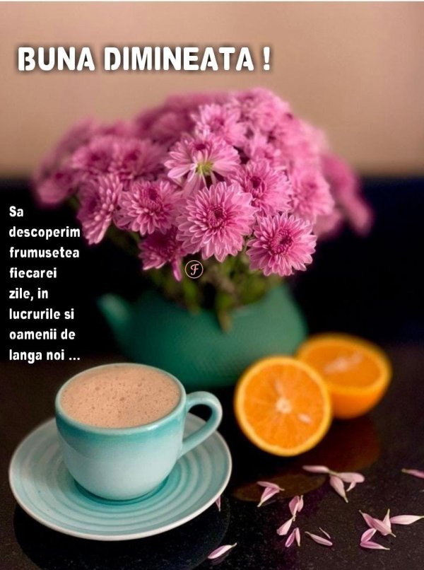 buna dimineata