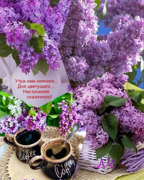 доброго майского утра