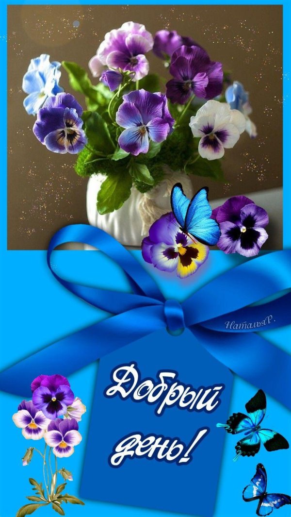 анютины глазки цветок