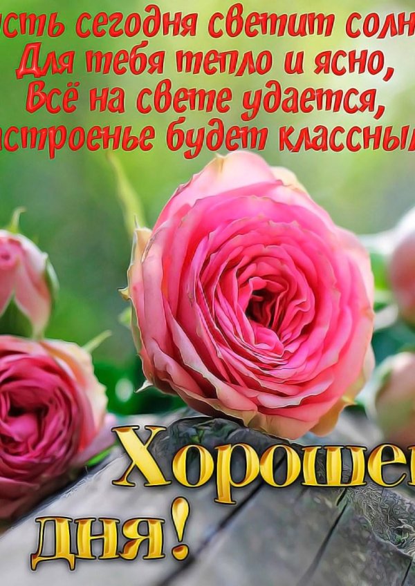 красивые открытки