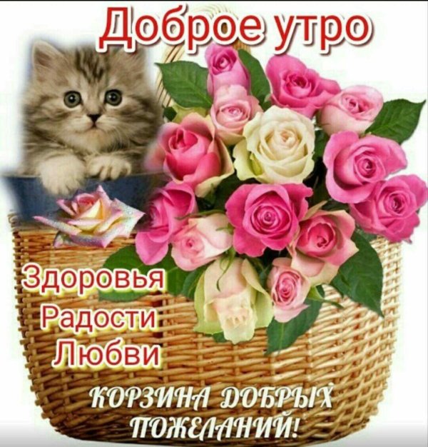 корзина добрых пожеланий