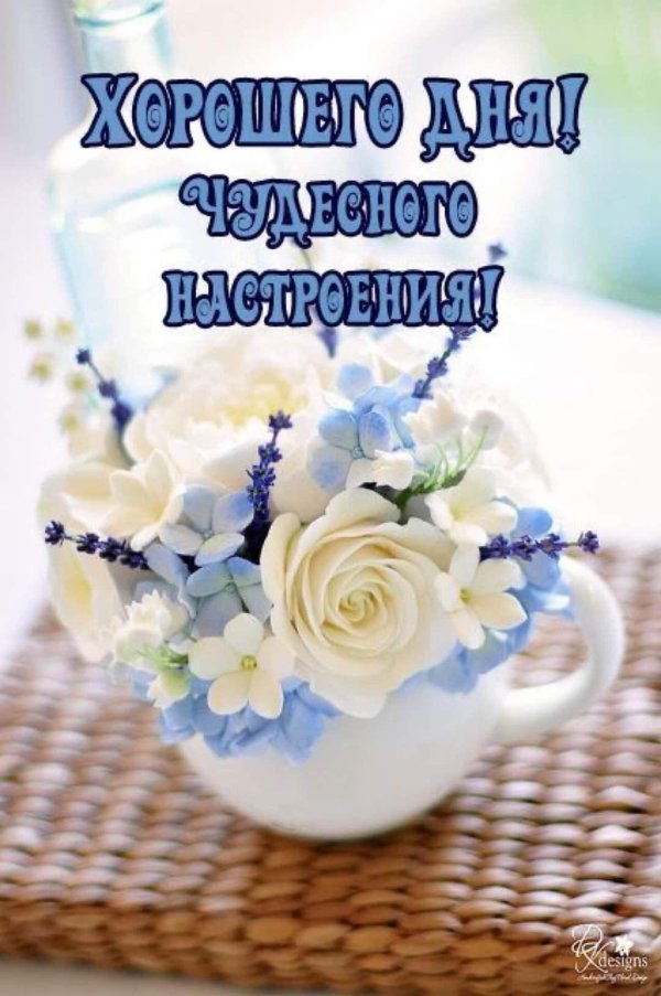 доброе незабудковое утро