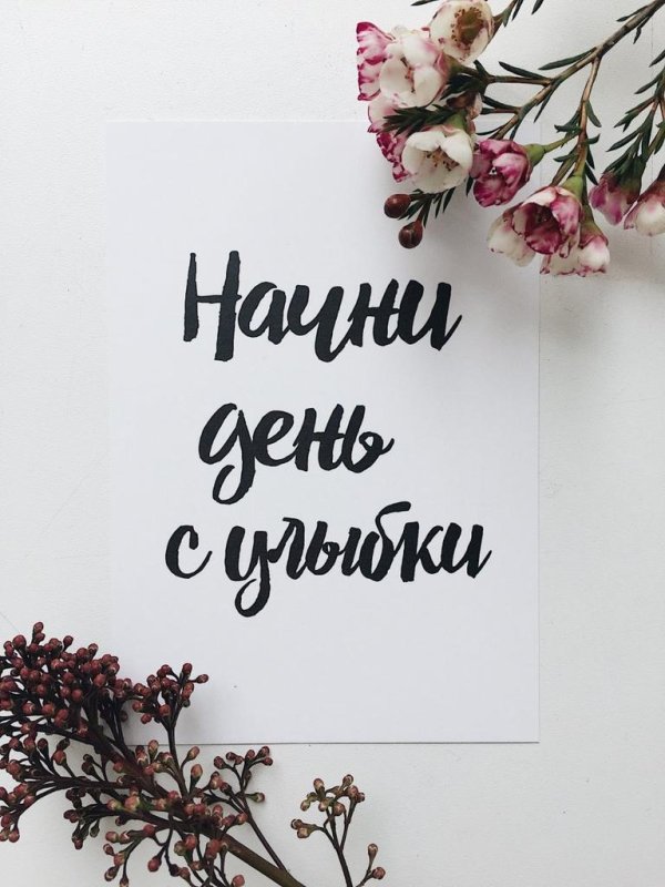 хорошего дня стильно