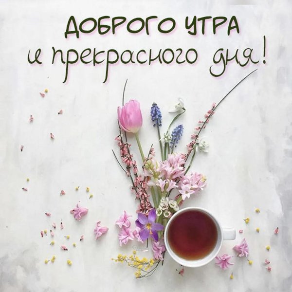 доброго утра стильные