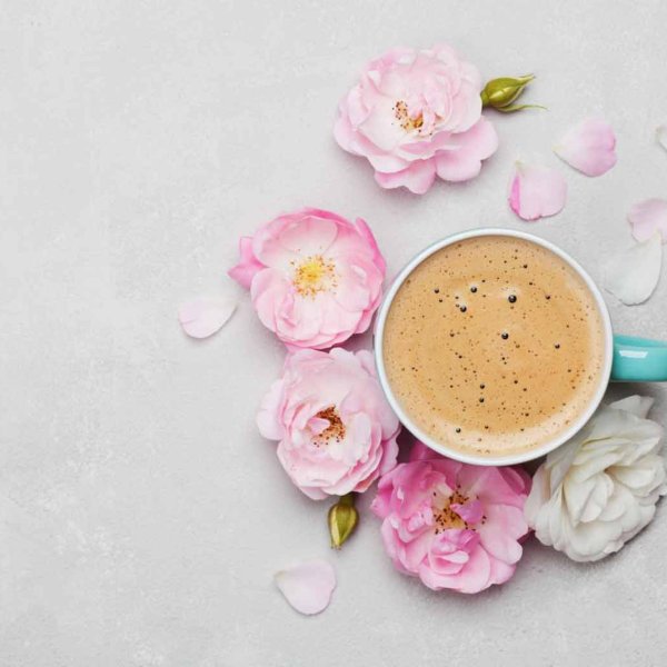 цветы на столе вид сверху