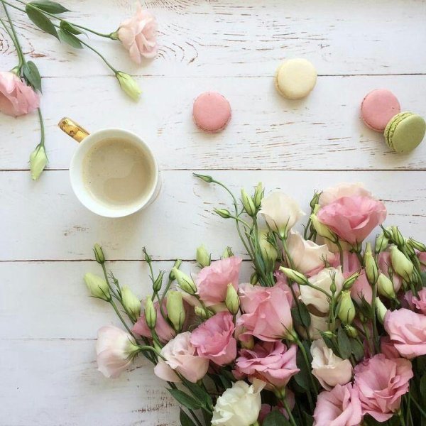 стильное доброе утро