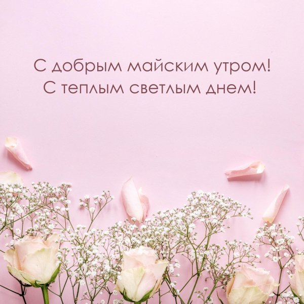 нежные фоны