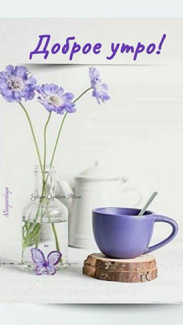 открытки с добрым утром элегантные