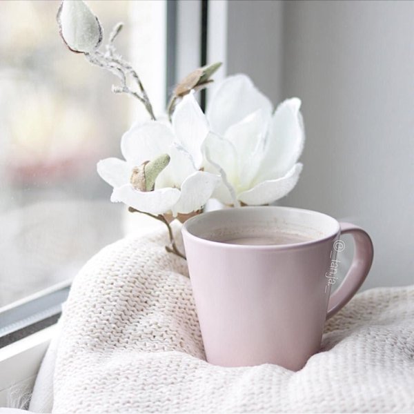 светлого утра