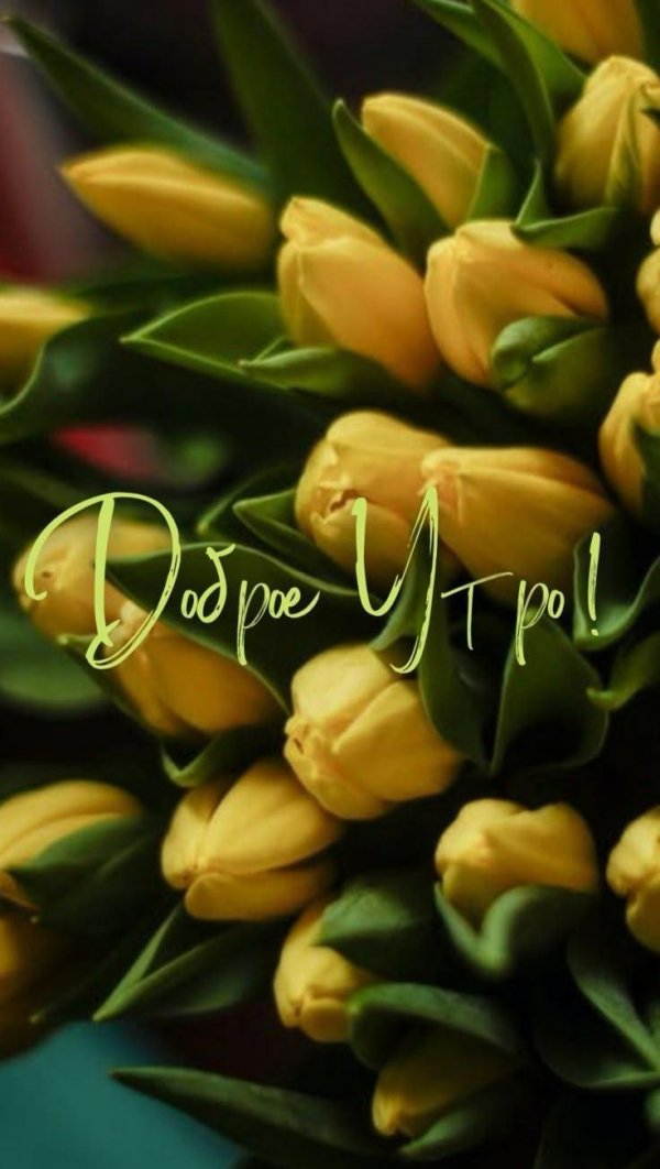 утра доброго весеннего