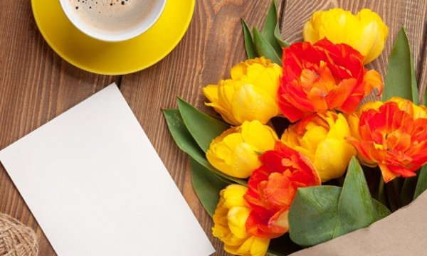 букет тюльпан