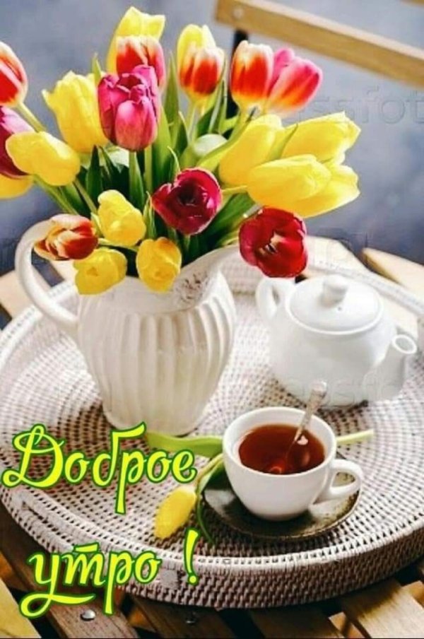 доброе утро с тюльпанами