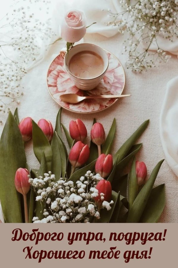 цветы утренние