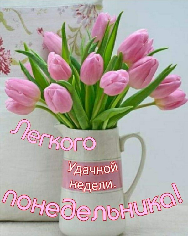 легкого понедельника удачной недели