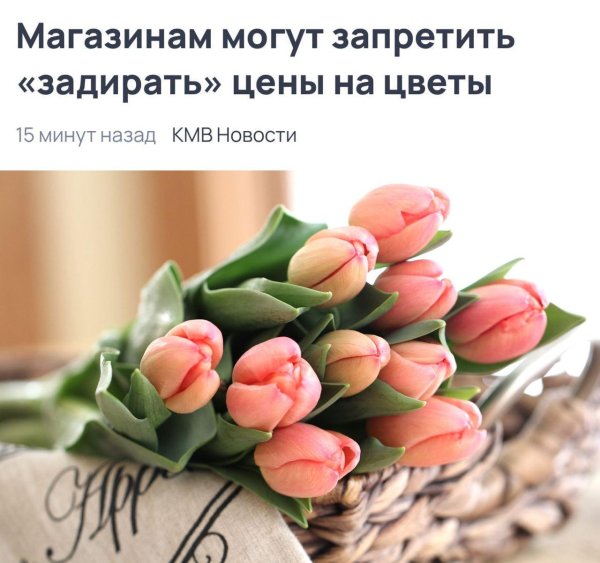 тюльпан цветок