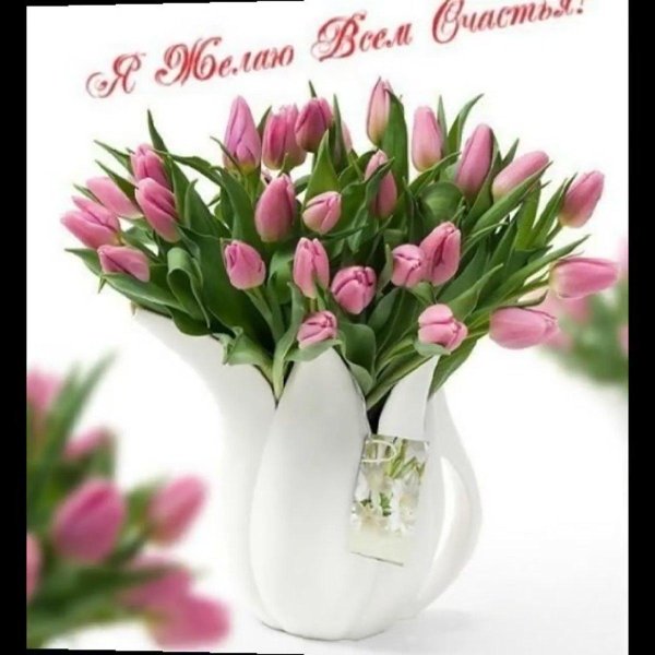 букет тюльпан