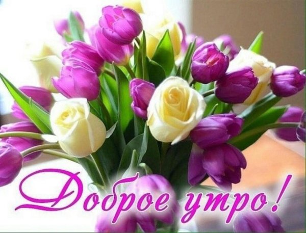 доброе утро цветы красивые