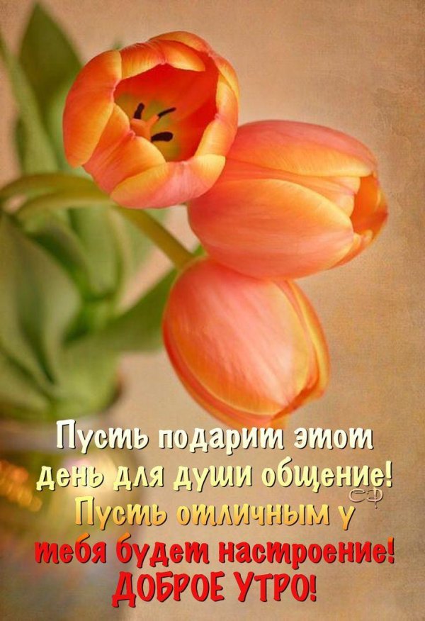 открытки и пожелания