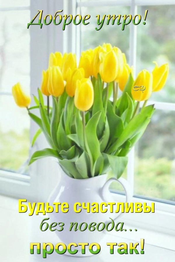 доброго утра весна