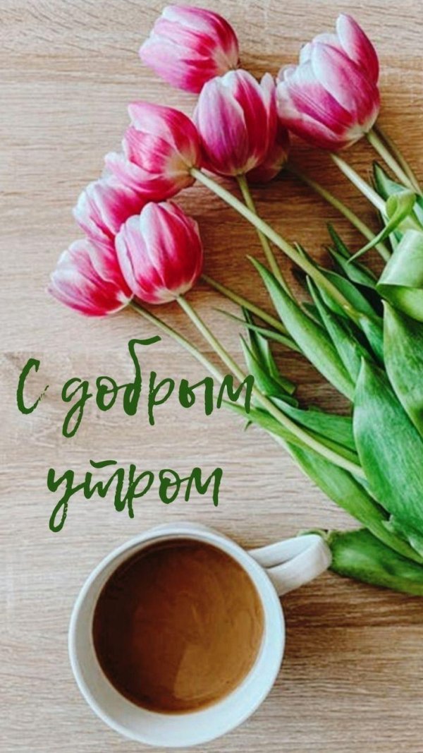 доброе утро весна открытка