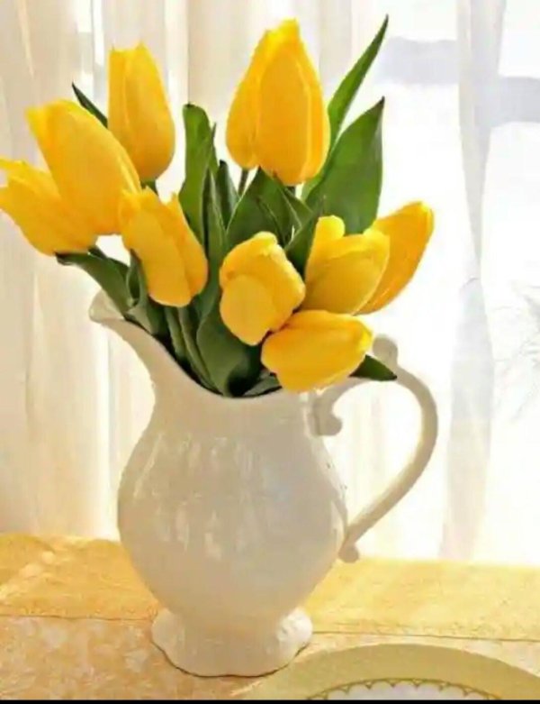 тюльпан в вазе