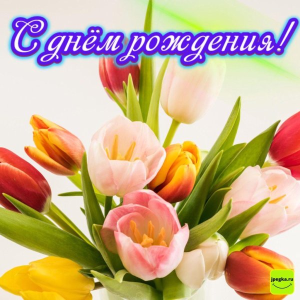 разноцветные тюльпаны