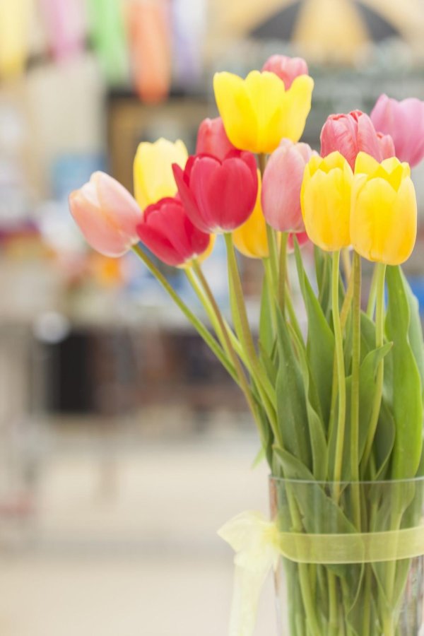 букет тюльпан