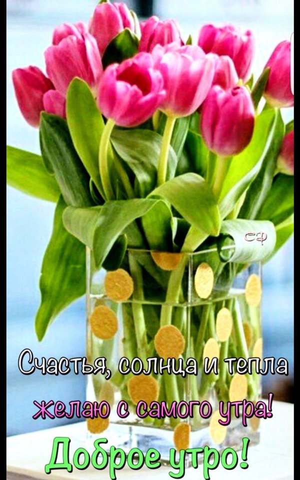 доброго утра весна