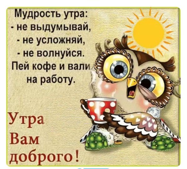 мудрость утра