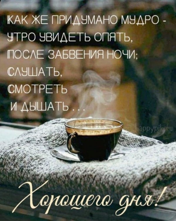 С мудрыми пожеланиями хорошего дня