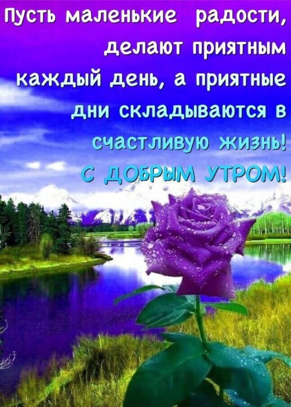 самого душевного дня