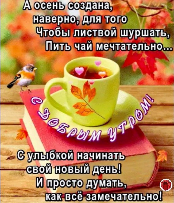 доброе утро осень хорошего дня мудрые советы