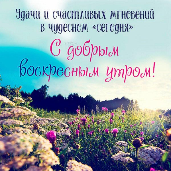 летняя природа