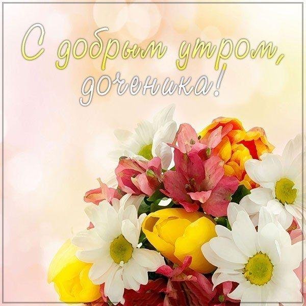 красивая цветок