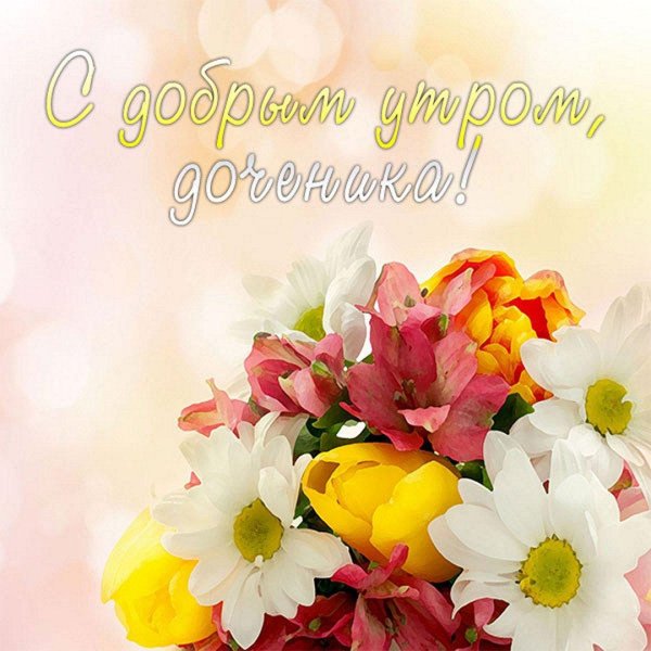 красивая цветок