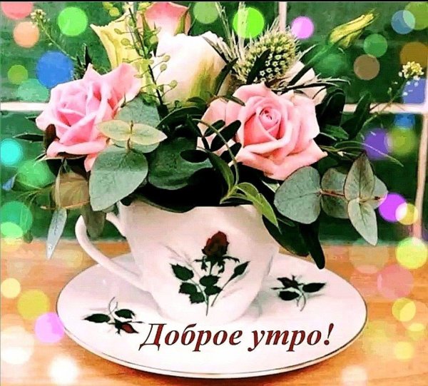 доброе нежное утро и хорошего настроения